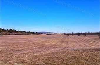 Eladó Barnagi egyéb mezőgazdasági ingatlan hirdetés (93824578)