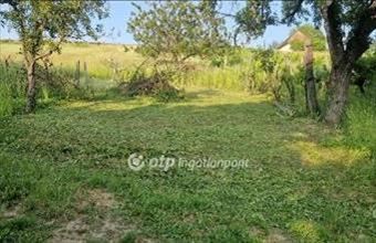 Eladó Zalaszabari egyéb mezőgazdasági ingatlan hirdetés (33724394)