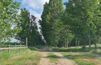 Eladó Mikepércsi tanya hirdetés (87649454)