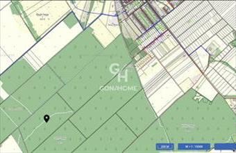 Eladó Nemesvámosi erdő hirdetés (59234843)