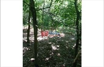 Eladó Dunaharaszti egyéb telek hirdetés (94179411)