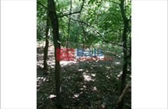 Eladó Dunaharaszti egyéb telek hirdetés (94179411)