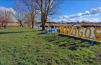 Eladó Kiszombori lakóövezeti telek hirdetés (57233346)