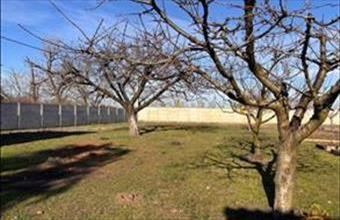 Eladó Szigetszentmiklósi zártkert hirdetés (97542939)