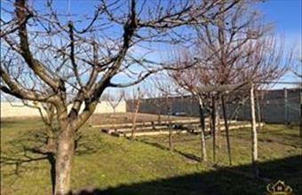 Eladó Szigetszentmiklósi zártkert hirdetés (84523557)