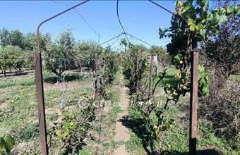 Eladó Békéscsabai lakóövezeti telek hirdetés (95393675)