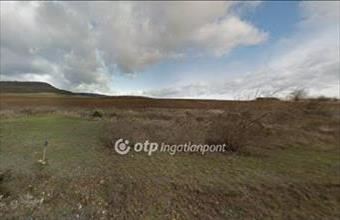 Eladó Pilisborosjenői lakóövezeti telek hirdetés (22545375)