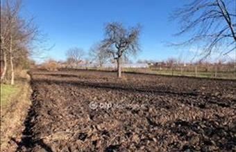 Eladó Orosházai lakóövezeti telek hirdetés (33243737)