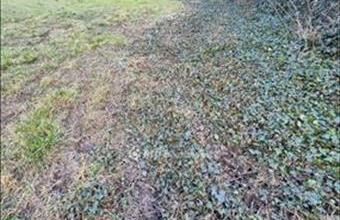 Eladó Szentesi lakóövezeti telek hirdetés (38947469)