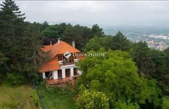 Eladó Solymári családi ház hirdetés (97714852)