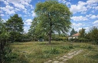 Eladó Gárdonyi üdülőövezeti telek hirdetés (59437941)