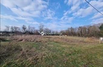 Eladó Papkeszi lakóövezeti telek hirdetés (46175774)