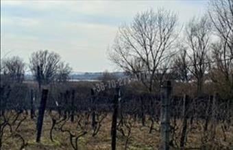 Eladó Oroszlányi egyéb telek hirdetés (75873933)