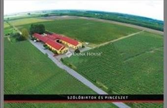 Eladó Bajai termőföld, szántó hirdetés (76924423)