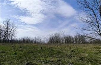 Eladó Paksi egyéb telek hirdetés (59372843)