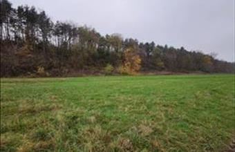 Eladó Paksi egyéb telek hirdetés (85132349)