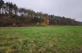 Eladó Paksi egyéb telek hirdetés (85132349)