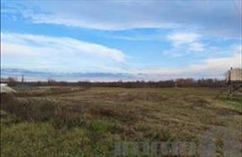 Kiadó Dunaszentgyörgyi egyéb telek hirdetés (49449387)