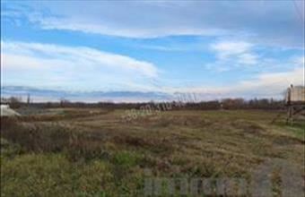 Kiadó Dunaszentgyörgyi egyéb telek hirdetés (49449387)