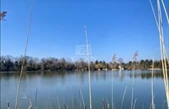 Eladó Kiskunlacházai családi ház hirdetés (24737444)