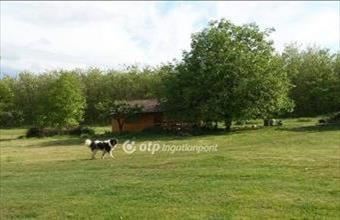 Eladó Nyíregyházai külterületi telek hirdetés (48923974)