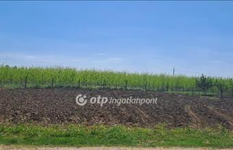 Eladó Napkori lakóövezeti telek hirdetés (23373452)