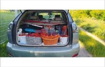 Kiadó Budapest XVII. kerületi egyéb telek hirdetés (33433849)