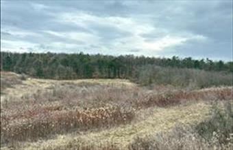 Eladó Dörgicsei külterületi telek hirdetés (37988878)