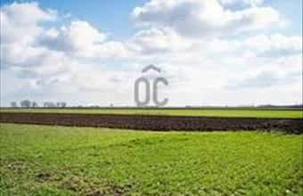 Eladó Katymári egyéb mezőgazdasági ingatlan hirdetés (95645293)