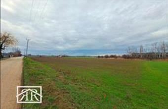 Eladó Deszki egyéb mezőgazdasági ingatlan hirdetés (39538334)