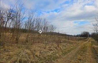 Eladó Fóti külterületi telek hirdetés (69265545)