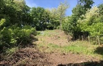 Eladó Pomázi egyéb telek hirdetés (91634837)