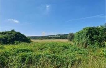 Eladó Isaszegi lakóövezeti telek hirdetés (72799363)