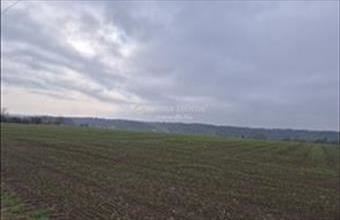 Eladó Gombai lakóövezeti telek hirdetés (38974496)