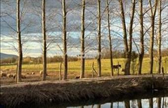 Eladó Őrbottyáni külterületi telek hirdetés (79174356)