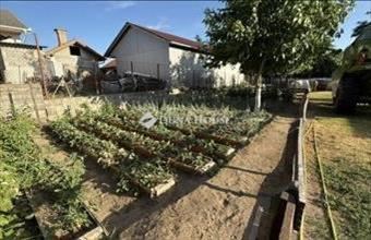 Eladó Vecsési lakóövezeti telek hirdetés (52445549)