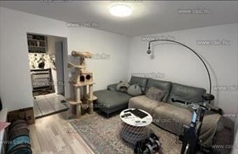 Eladó Budapest XVII. kerületi családi ház hirdetés (97534794)