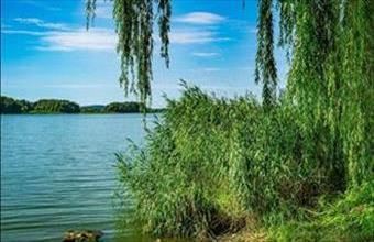 Eladó Keszthelyi tégla lakás hirdetés (45447343)