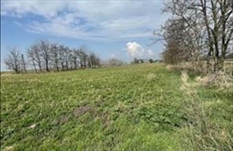 Eladó Tatai egyéb telek hirdetés (57743777)