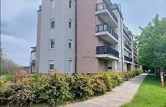 Kiadó Soproni tégla lakás hirdetés (37469637)