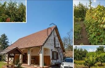 Eladó Tassi családi ház hirdetés (68282228)