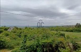 Eladó Zsámbéki külterületi telek hirdetés (61785327)