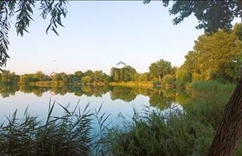 Eladó Délegyházai hétvégi ház hirdetés (57497423)