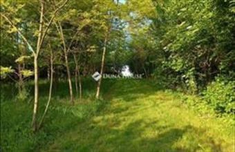 Eladó Tengődi családi ház hirdetés (39564944)