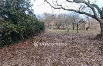 Eladó Szigetújfalui külterületi telek hirdetés (82666237)