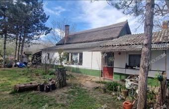 Eladó Pálmonostorai tanya hirdetés (34775323)