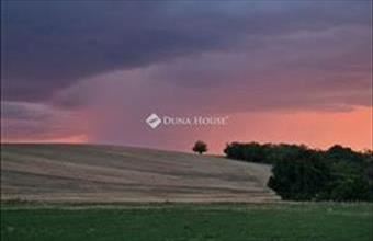 Eladó Únyi lakóövezeti telek hirdetés (42393432)