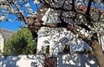 Eladó Budapest XVIII. kerületi családi ház hirdetés (73574353)