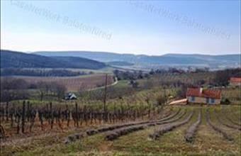 Eladó Balatoncsicsói egyéb mezőgazdasági ingatlan hirdetés (38472332)