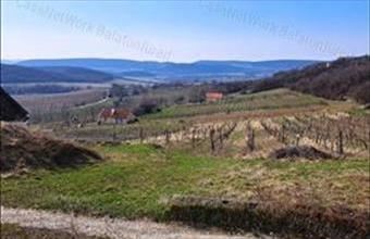 Eladó Balatoncsicsói egyéb mezőgazdasági ingatlan hirdetés (89425818)